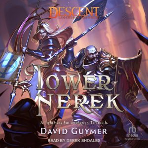 DES Tower of Nerek audiobook Cover