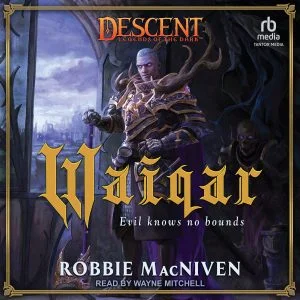 DES Waiqar by Robbie MacNiven Audiobook Cover