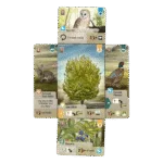 Forest Shuffle – Dartmoor