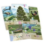 Smíšený les: Alpy