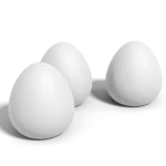 Ptačí vábení