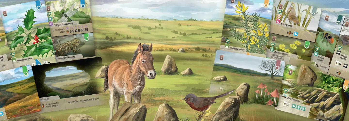 01a Smiseny Les Dortmoor Exmoor 1440x500