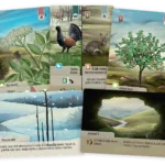 Smíšený les: Dartmoor