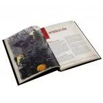 La serpiente de dos cabezas