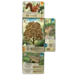 Forest Shuffle