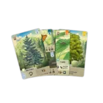 Forest Shuffle