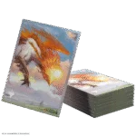 MTG Lorwyn Eclipsed Sleeves Eirdu Carrier of Dawn