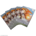 MTG Lorwyn Eclipsed Sleeves Eirdu Carrier of Dawn