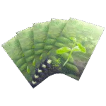 Forest Shuffle Art Sleeves