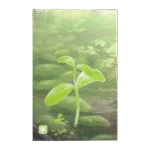 Forest Shuffle Art Sleeves