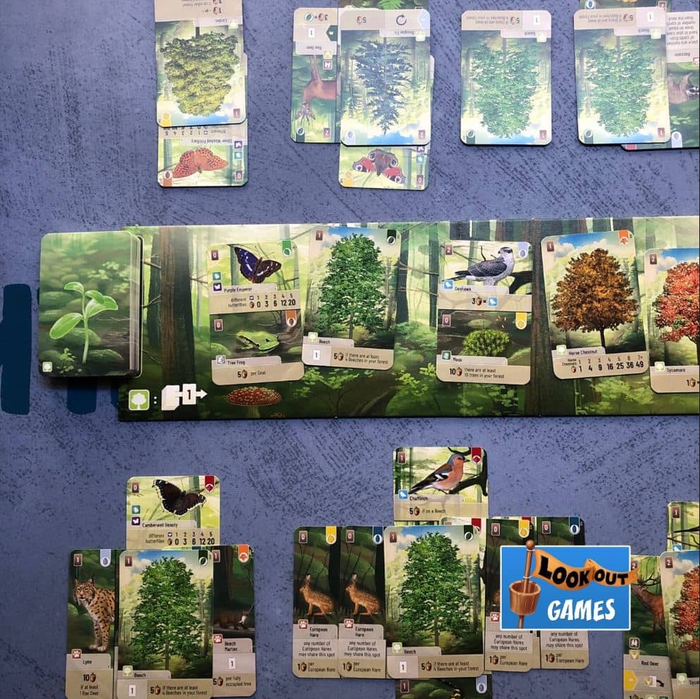 Cartes du jeu de société Forêt Mixte