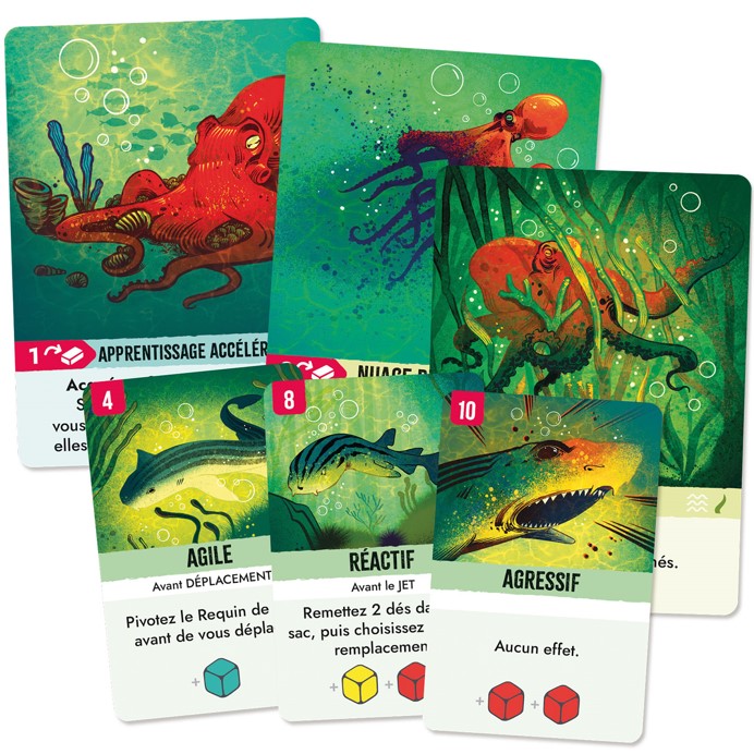 cartes du jeu de societe kelp