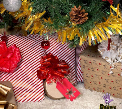 Jeu de societe secret Santa