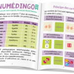 Numédingo PS-MS