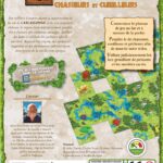 Carcassonne : Chasseurs et Cueilleurs