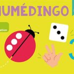 Numédingo PS-MS