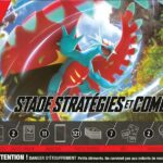 Pokémon : Build&Battle Stadium EV04