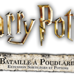 Harry Potter : Sortilèges et Potions (Ext)