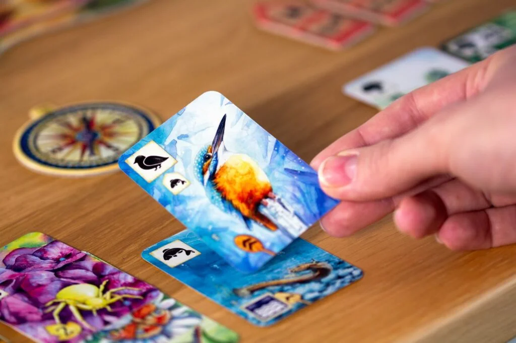 carte en main oiseau meadow