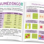 Numédingo PS-MS