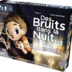 Des Bruits dans la Nuit