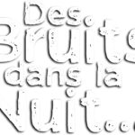 Des Bruits dans la Nuit