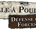 Harry Potter : Défense contre les Forces du Mal