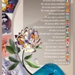 Dixit 7 Revelations ML2