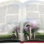 L5R : La Voie des Vagues