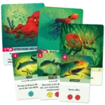 Kelp