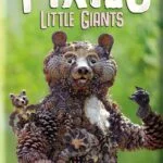 Pixies : Little Giants (15)