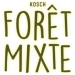 Forêt Mixte
