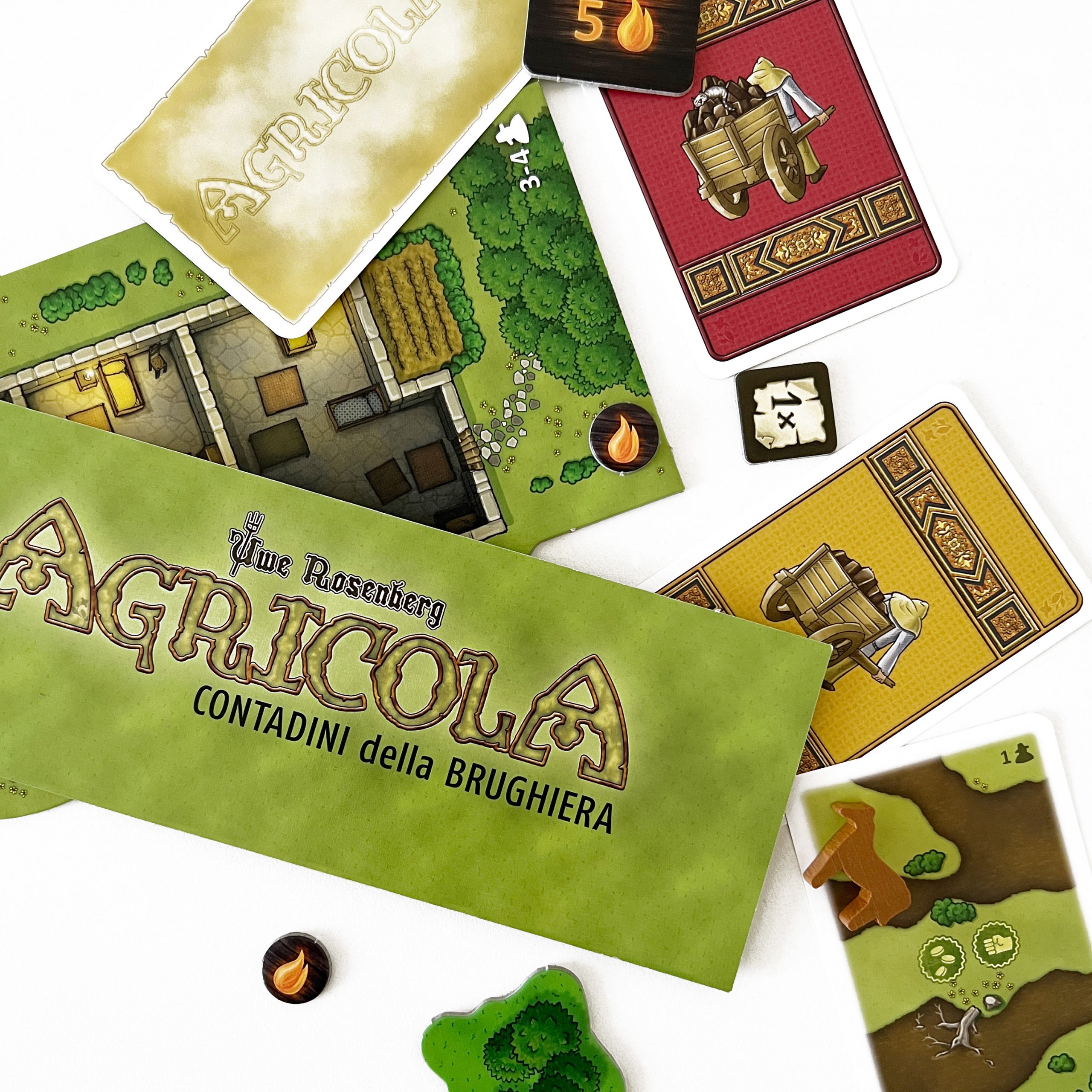 Asmodee – Sfide Della Natura: Carnivori – Gioco Di Carte Educativo Per Bambini E Famiglie, 2-6 Giocatori