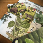 Forest Shuffle – Woodland Edge