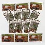 Ticket to Ride Poland