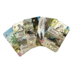 Forest Shuffle – Dartmoor