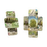 Forest Shuffle – Dartmoor