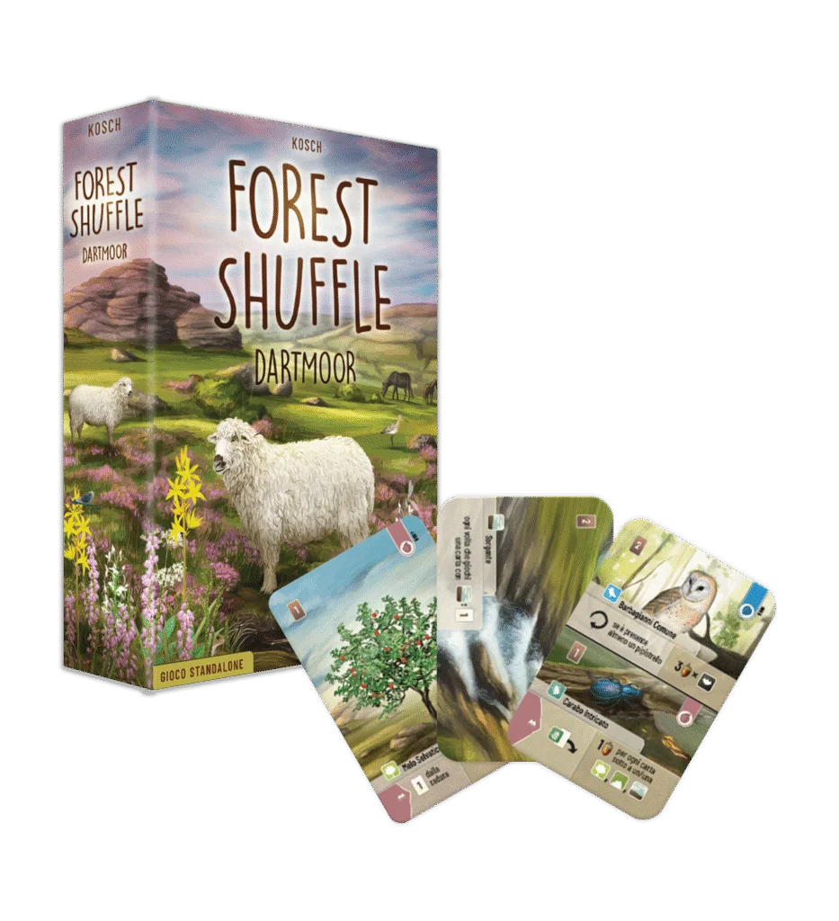 Forest Shuffle – Dartmoor