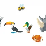 Concept Kids Dieren