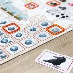Concept Kids Dieren
