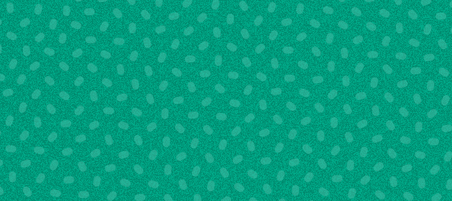 Card 4 front