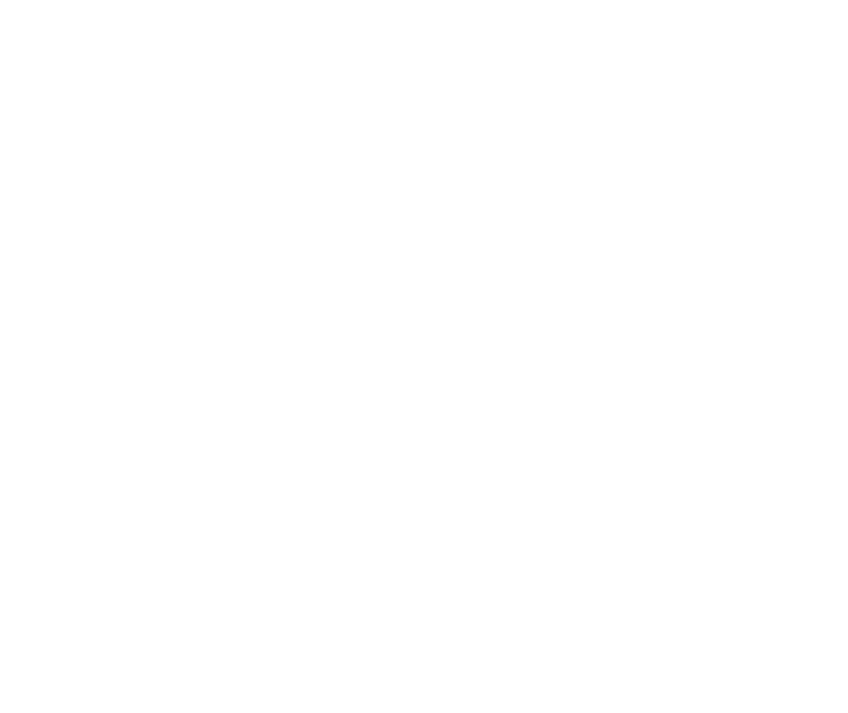 STAR WARS™: UNLIMITED Official Accessories