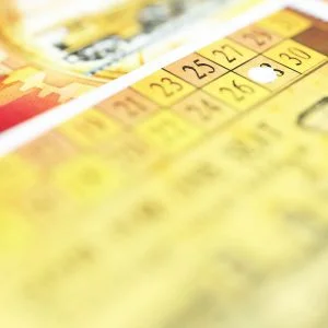 Ticket to Ride Sleeves Ticket to Ride Sleeves