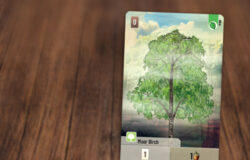 Forest Shuffle - Cartes exclusives