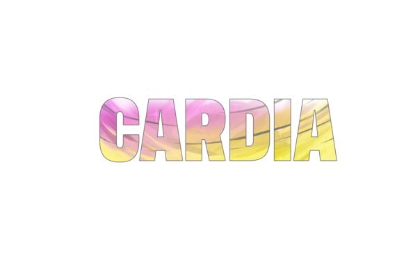 Cardia – Un jeu de cartes tactique d’influence et de renversements