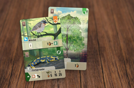 Forest Shuffle - Family Card Game
