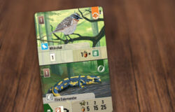 Forest Shuffle - Family Card Game