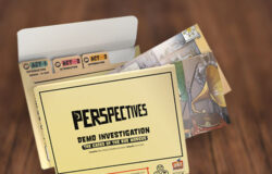 Perspectives - The Investigation Game