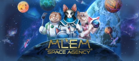 MLEM Space Agency