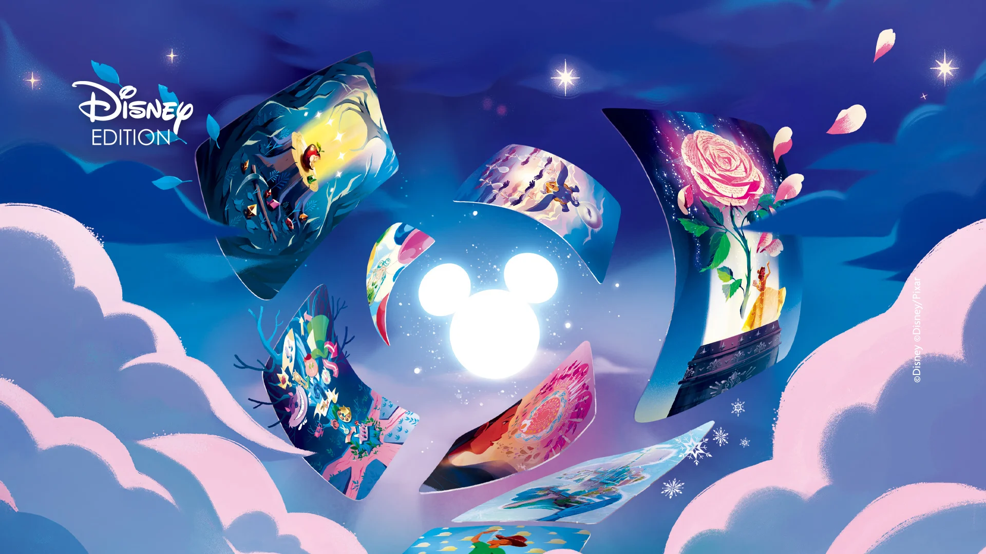 DIXIT SIGNATURE Banner